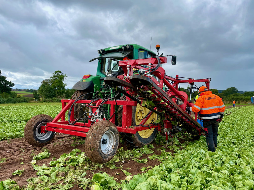 Robot solution for automating the lettuce harvest / Robots as helpers in the lettuce harvest